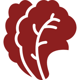 Highest Quality Ingredients